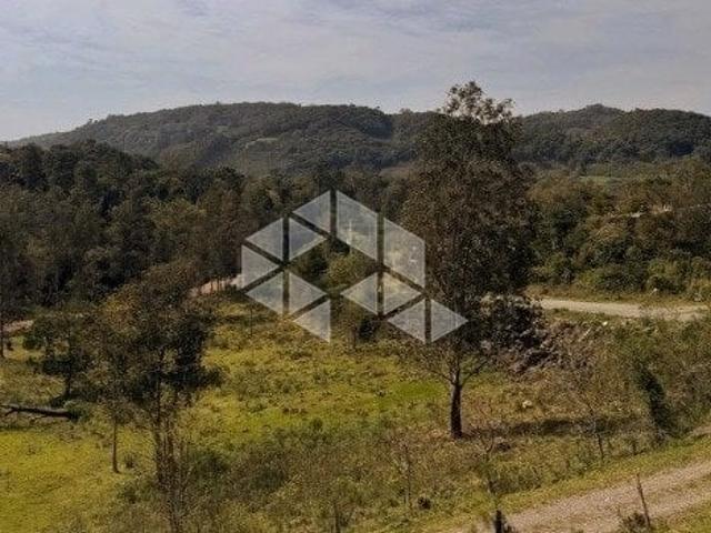 Sítio e chácara venda em Região Geográfica Imediata de Caxias do Sul, Caxias do Sul