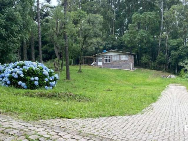 Sítio e chácara venda em Região Geográfica Imediata de Caxias do Sul, Caxias do Sul