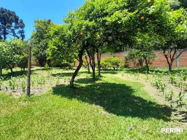 Sítio e chácara venda em Região Geográfica Imediata de Caxias do Sul, Caxias do Sul