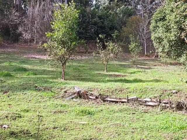 Sítio e chácara venda em Região Geográfica Imediata de Caxias do Sul, Caxias do Sul