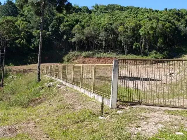 Sítio e chácara venda em Região Geográfica Imediata de Caxias do Sul, Caxias do Sul