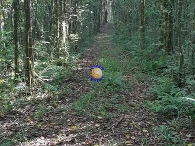 Sítio e chácara venda em Região Geográfica Imediata de Caxias do Sul, Caxias do Sul