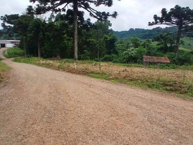 Sítio e chácara venda em Região Geográfica Imediata de Caxias do Sul, Caxias do Sul