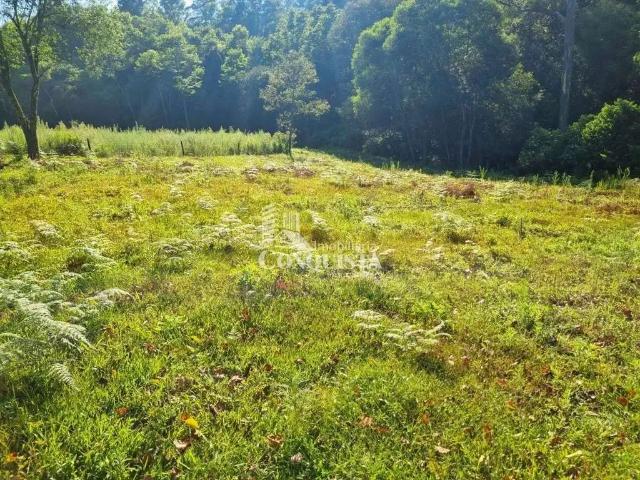 Sítio e chácara venda em Região Geográfica Imediata de Caxias do Sul, Caxias do Sul