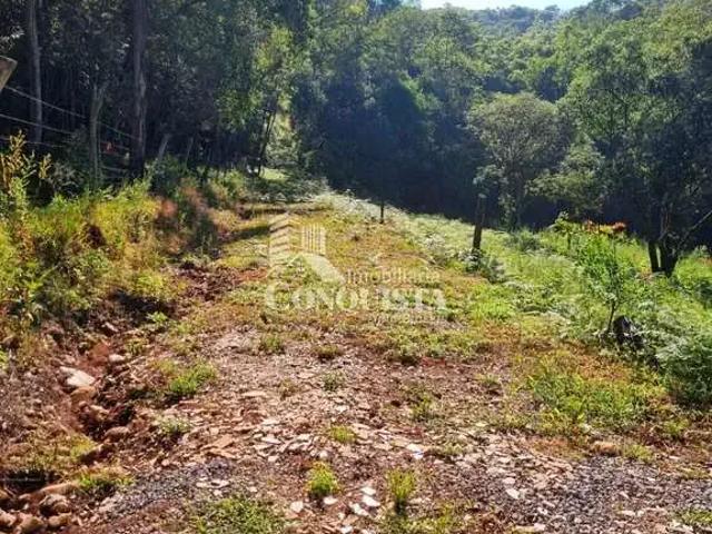 Sítio e chácara venda em Região Geográfica Imediata de Salvador, Região Metropolitana de Salvador
