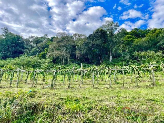 Sítio e chácara venda em Região Geográfica Imediata de Caxias do Sul, Caxias do Sul