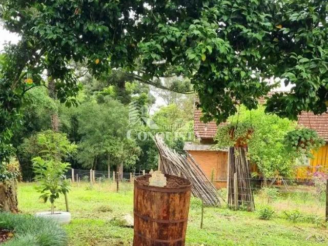 Sítio e chácara venda em Região Geográfica Imediata de Caxias do Sul, Caxias do Sul