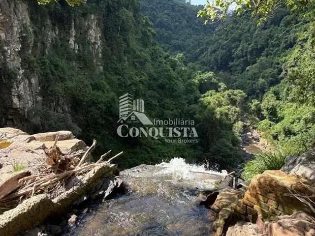 Sítio e chácara venda em Região Geográfica Imediata de Caxias do Sul, Caxias do Sul