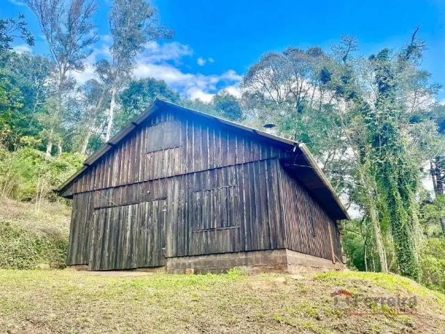 Sítio e chácara venda em Região Geográfica Imediata de Caxias do Sul, Caxias do Sul