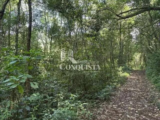 Sítio e chácara venda em Região Geográfica Imediata de Caxias do Sul, Caxias do Sul