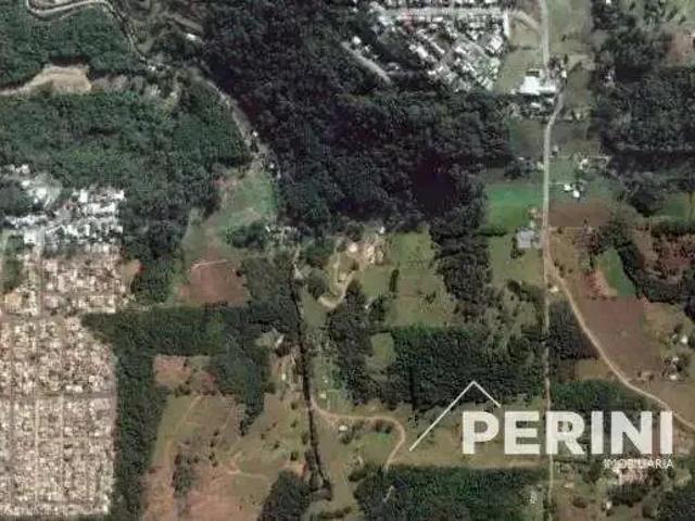 Sítio e chácara venda em Região Geográfica Imediata de Caxias do Sul, Caxias do Sul
