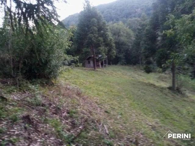 Sítio e chácara venda em Região Geográfica Imediata de Caxias do Sul, Caxias do Sul