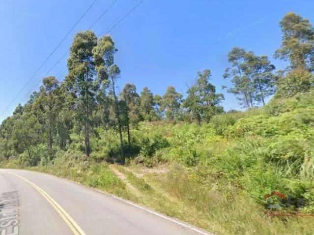 Sítio e chácara venda em Região Geográfica Imediata de Caxias do Sul, Caxias do Sul