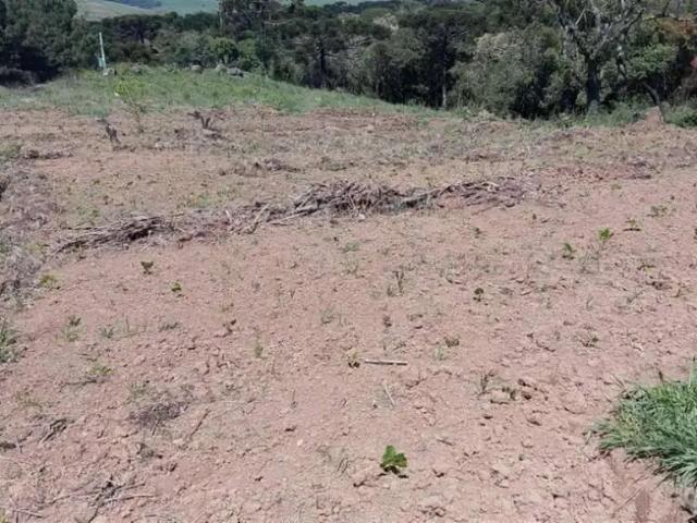 Sítio e chácara venda em Região Geográfica Imediata de Caxias do Sul, Caxias do Sul