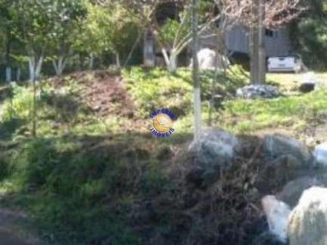 Sítio e chácara venda em Região Geográfica Imediata de Caxias do Sul, Caxias do Sul