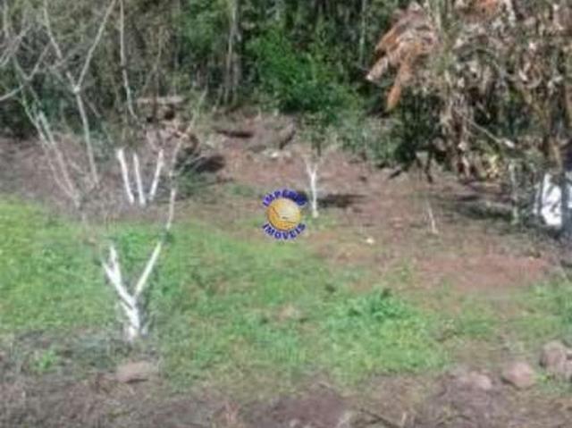 Sítio e chácara venda em Região Geográfica Imediata de Caxias do Sul, Caxias do Sul