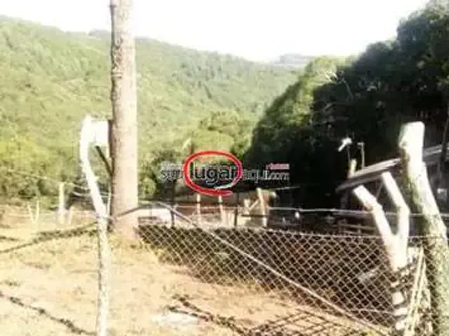 Sítio e chácara venda em Região Geográfica Imediata de Caxias do Sul, Caxias do Sul