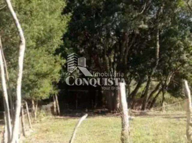 Sítio e chácara venda em Região Geográfica Imediata de Caxias do Sul, Caxias do Sul