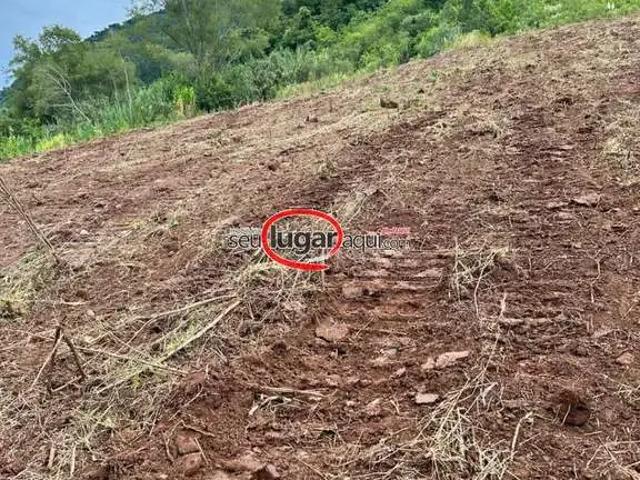 Sítio e chácara venda em Região Geográfica Imediata de Caxias do Sul, Caxias do Sul