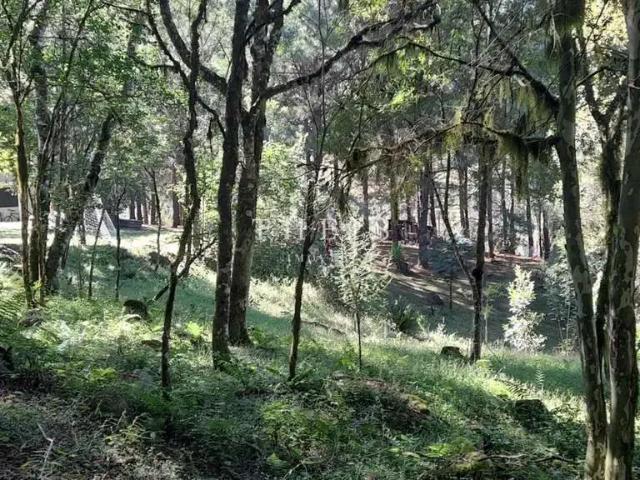 Sítio e chácara venda em Região Geográfica Imediata de Caxias do Sul, Caxias do Sul