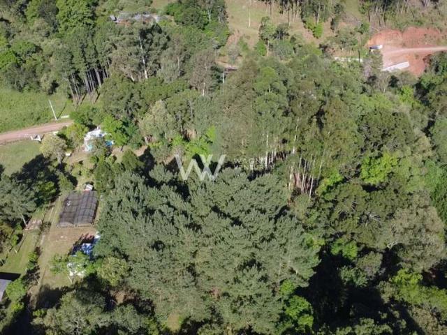 Sítio e chácara venda em Santa Lúcia do Piaí, Caxias do Sul