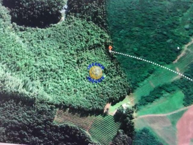 Sítio e chácara venda em Região Geográfica Imediata de Caxias do Sul, Caxias do Sul