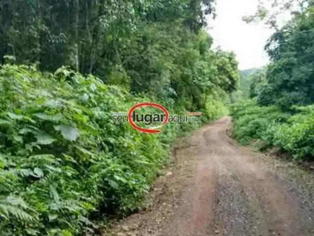 Sítio e chácara venda em Região Geográfica Imediata de Caxias do Sul, Caxias do Sul