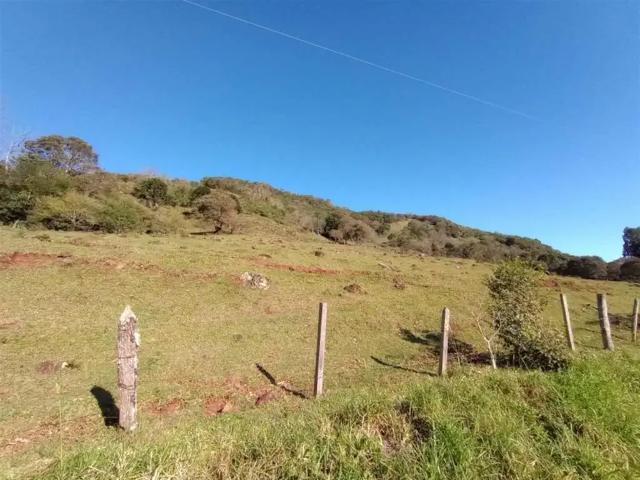 Sítio e chácara venda em Região Geográfica Imediata de Caxias do Sul, Caxias do Sul
