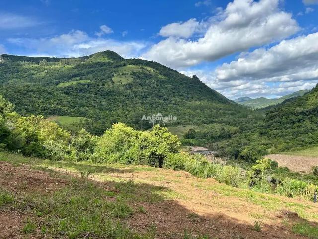 Sítio e chácara venda em Região Geográfica Imediata de Caxias do Sul, Caxias do Sul