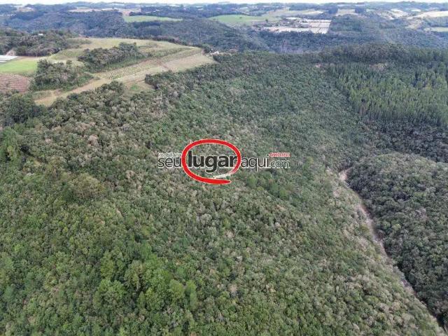 Sítio e chácara venda em Região Geográfica Imediata de Caxias do Sul, Caxias do Sul