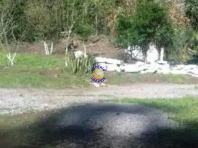 Sítio e chácara venda em Caxias do Sul, Região Geográfica Intermediária de Caxias do Sul