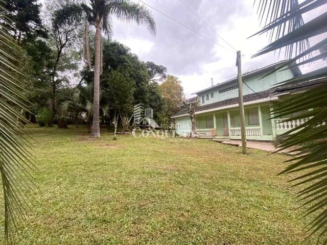 Sítio e chácara venda em Região Geográfica Imediata de Caxias do Sul, Caxias do Sul