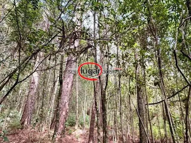 Sítio e chácara venda em Região Geográfica Imediata de Caxias do Sul, Caxias do Sul