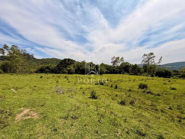 Sítio e chácara venda em Caxias do Sul, Região Geográfica Intermediária de Caxias do Sul
