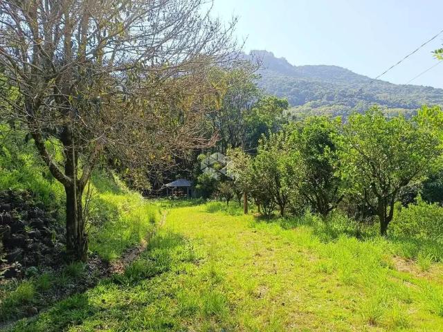 Sítio e chácara venda em Região Geográfica Imediata de Caxias do Sul, Caxias do Sul