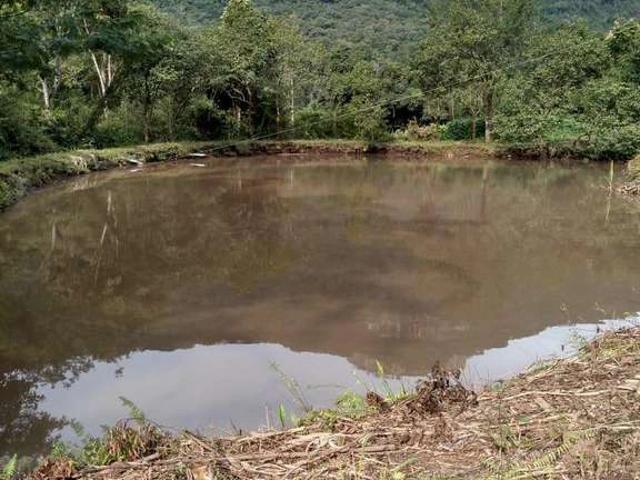 Sítio e chácara venda em Caxias do Sul, Região Geográfica Intermediária de Caxias do Sul