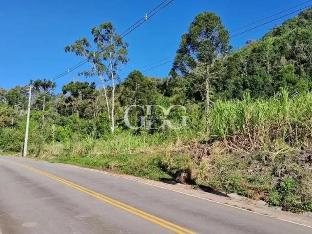 Sítio e chácara venda em Região Geográfica Imediata de Caxias do Sul, Caxias do Sul
