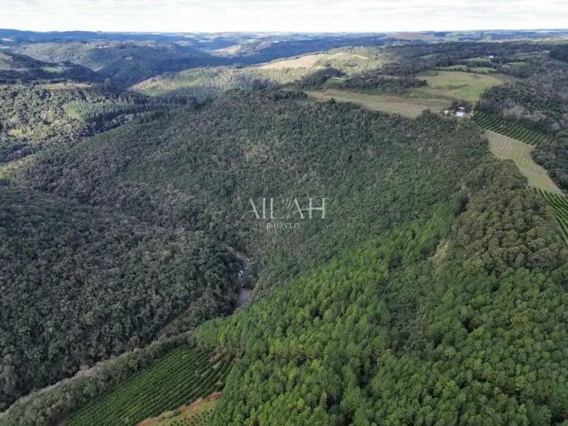 Sítio e chácara venda em Região Geográfica Imediata de Caxias do Sul, Caxias do Sul