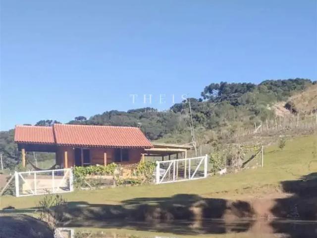 Sítio e chácara venda em Região Geográfica Imediata de Caxias do Sul, Caxias do Sul