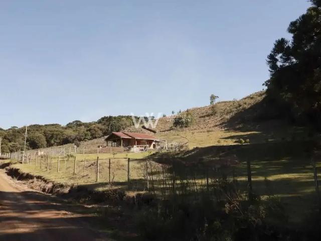 Sítio e chácara venda em Região Geográfica Imediata de Caxias do Sul, Caxias do Sul