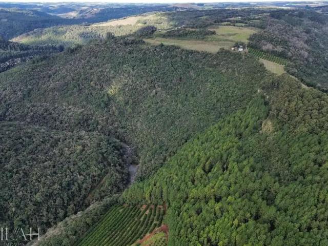 Sítio e chácara venda em Região Geográfica Imediata de Caxias do Sul, Caxias do Sul