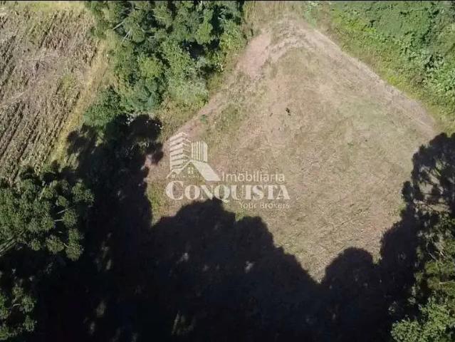 Sítio e chácara venda em Região Geográfica Imediata de Caxias do Sul, Caxias do Sul