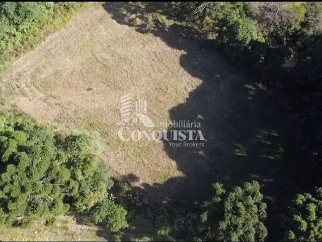 Sítio e chácara venda em Região Geográfica Imediata de Caxias do Sul, Caxias do Sul