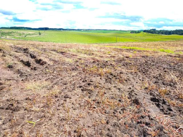 Sítio e chácara venda em Região Geográfica Imediata de Caxias do Sul, Caxias do Sul