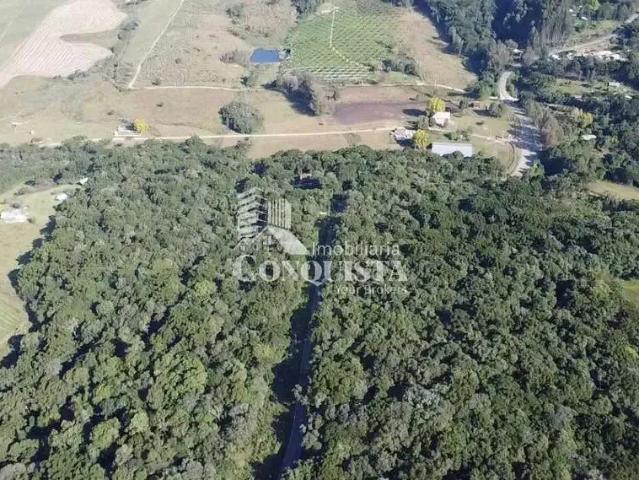 Sítio e chácara venda em Região Geográfica Imediata de Caxias do Sul, Caxias do Sul