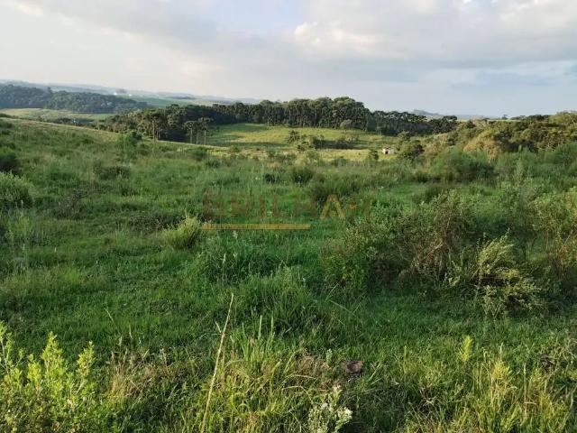 Sítio e chácara venda em Região Geográfica Imediata de Caxias do Sul, Caxias do Sul