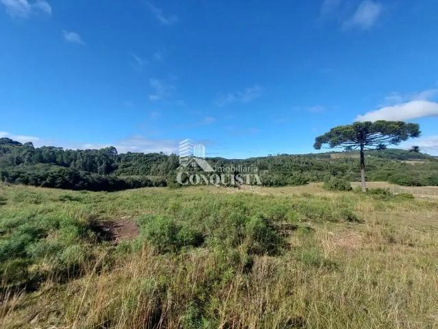 Sítio e chácara venda em Região Geográfica Imediata de Caxias do Sul, Caxias do Sul