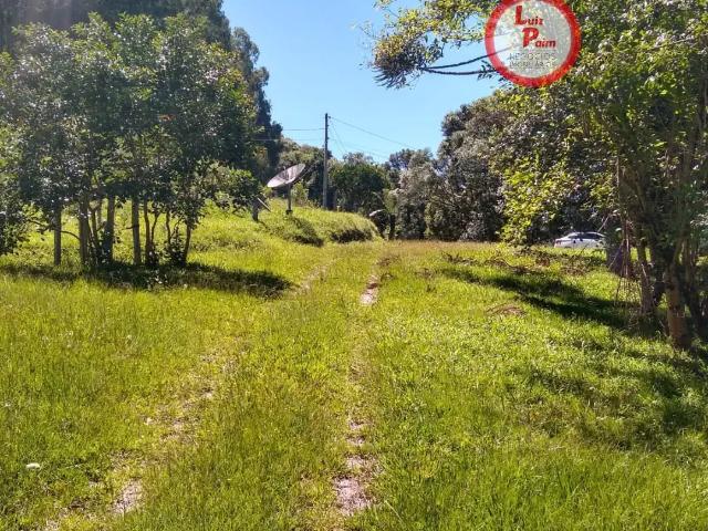 Sítio e chácara venda em Região Geográfica Imediata de Caxias do Sul, Caxias do Sul
