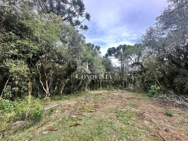 Sítio e chácara venda em Região Geográfica Imediata de Caxias do Sul, Caxias do Sul