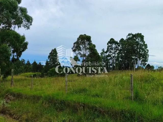 Sítio e chácara venda em Região Geográfica Imediata de Caxias do Sul, Caxias do Sul